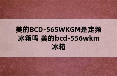 美的BCD-565WKGM是定频冰箱吗 美的bcd-556wkm冰箱